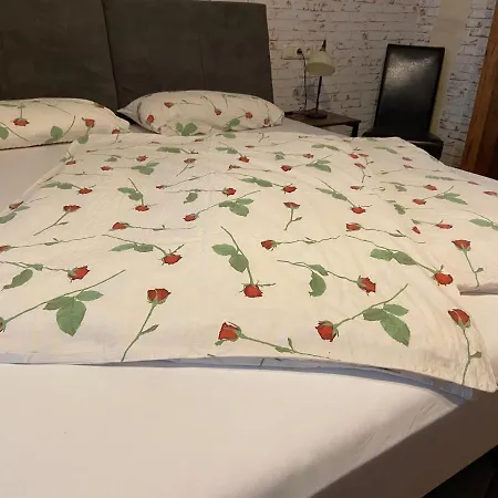 Apartment Grosse Im Neu-seen-land Leipzig *