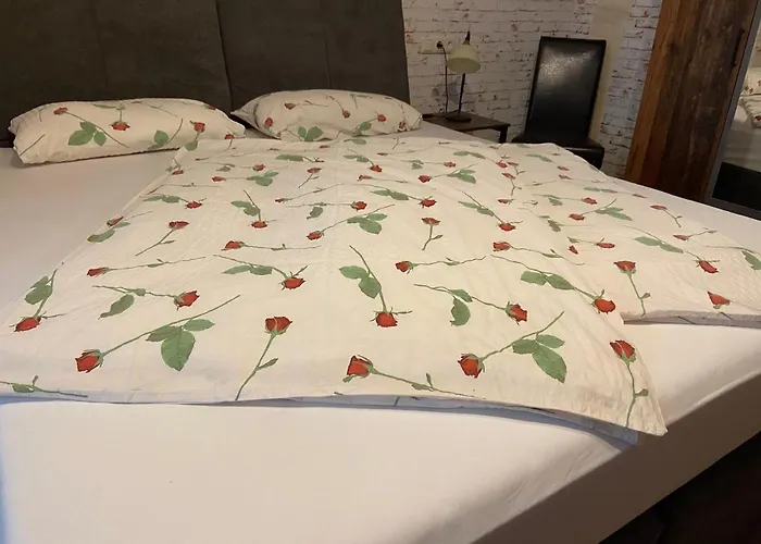 Apartment Grosse Im Neu-seen-land Leipzig *